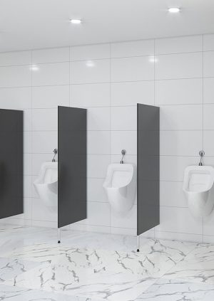 Urinal Screens and Privacy Partitions - pedestal mounted