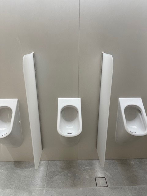 Urinal-Screen-Castlereagh-St-2